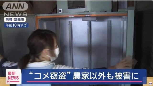 米太贵！日本人在米袋里放GPS防偷