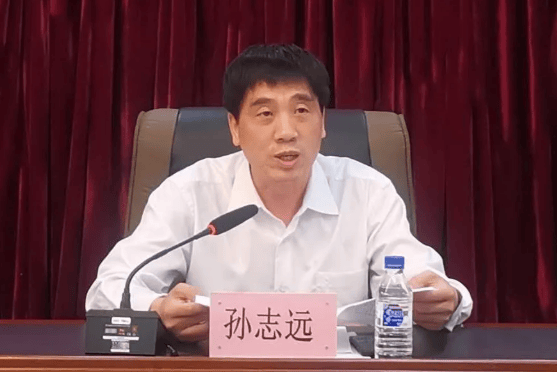 孙志远，被查